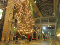 福岡天神のクリスマスイルミネーション　③