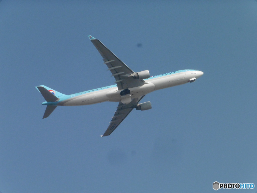 KOREAN　AIR  A330の離陸