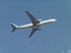 KOREAN　AIR  A330の離陸