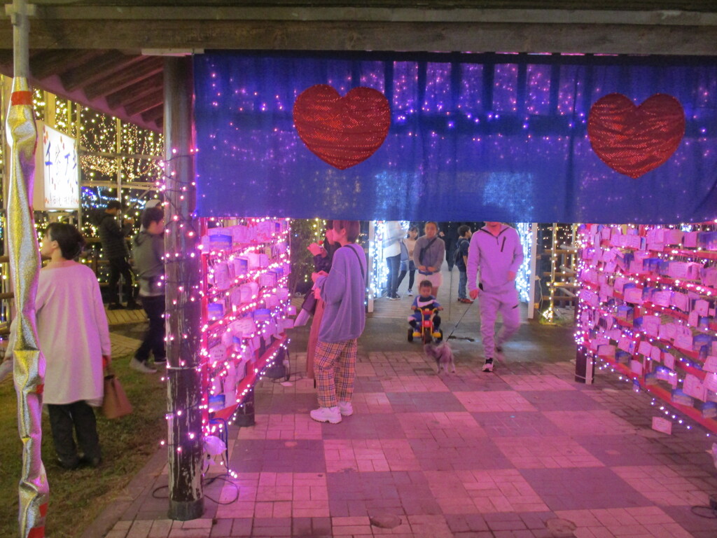 佐賀県鳥栖市中央公園のイルミネーション　⑦