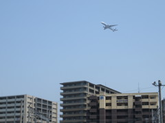街角から見るANA777の離陸