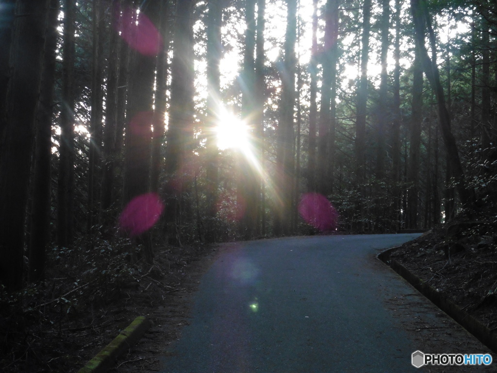 山道に差し込む夕日