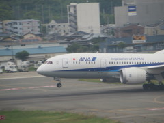 ANAロゴ無し787  その1