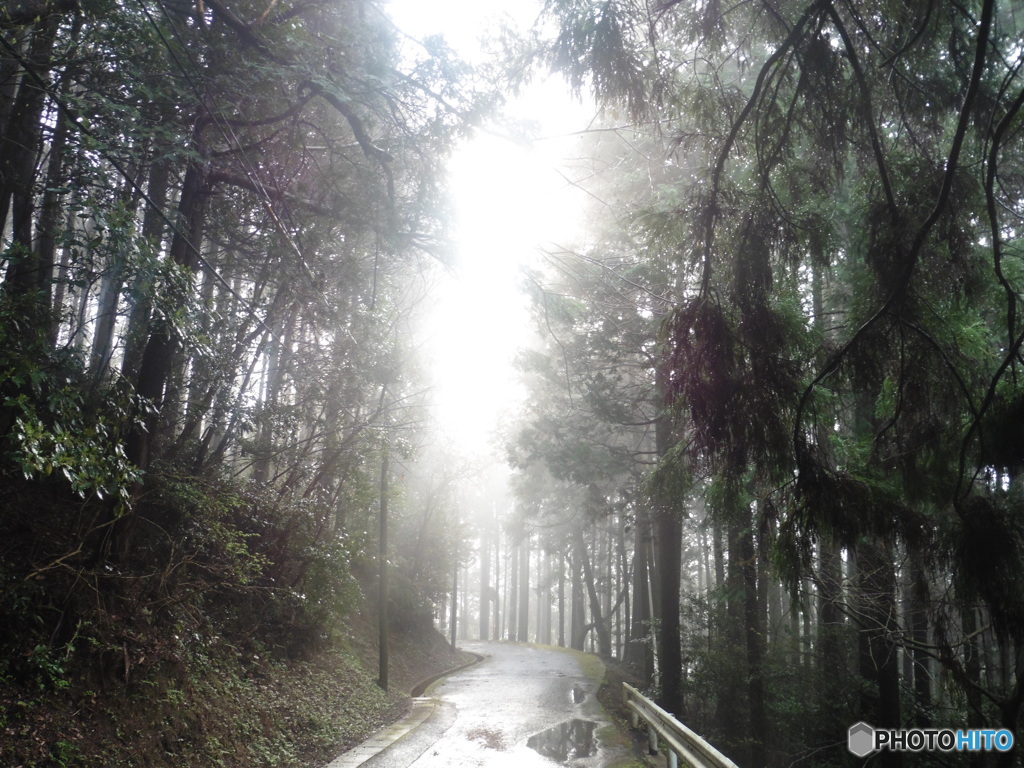 山道に差し込む光