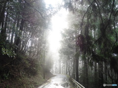 山道に差し込む光