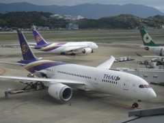 タイ国際　B787-8のダブル①