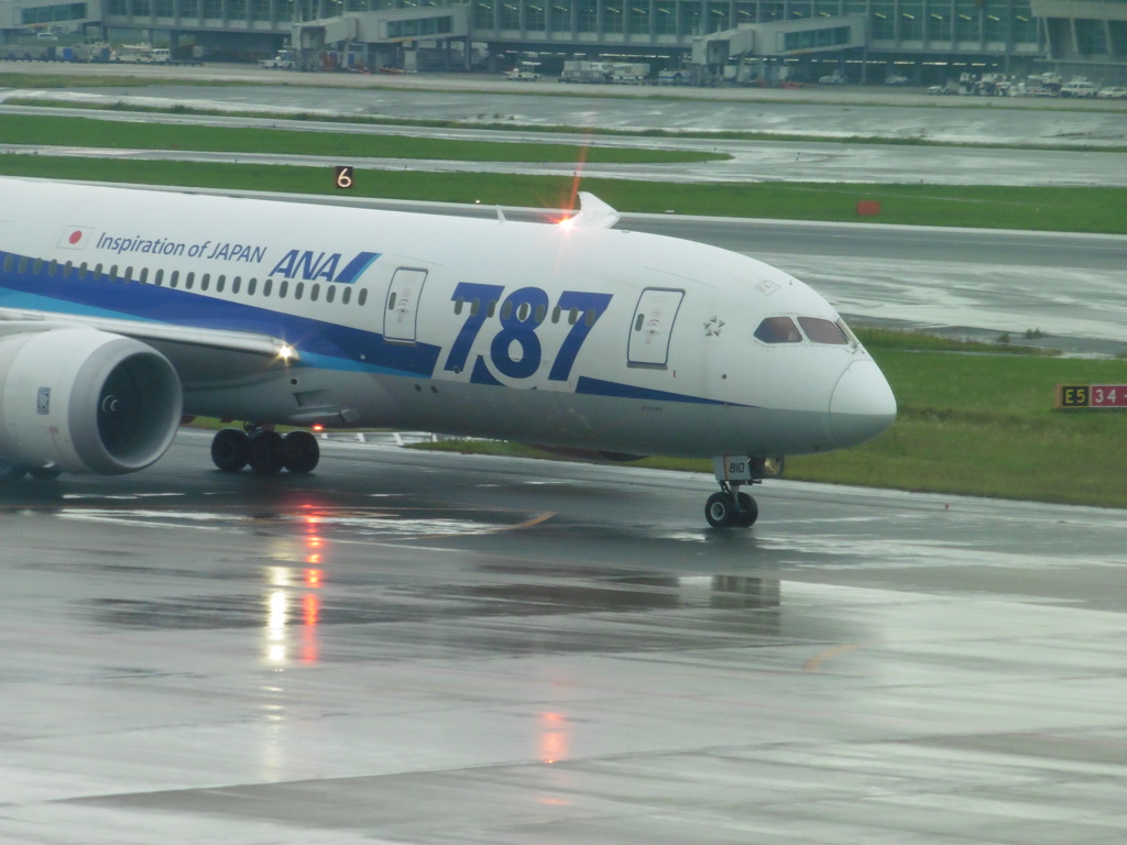 誘導路に映りこむ航空灯③