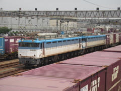 EF81の重連　福岡貨物ターミナルにて　①