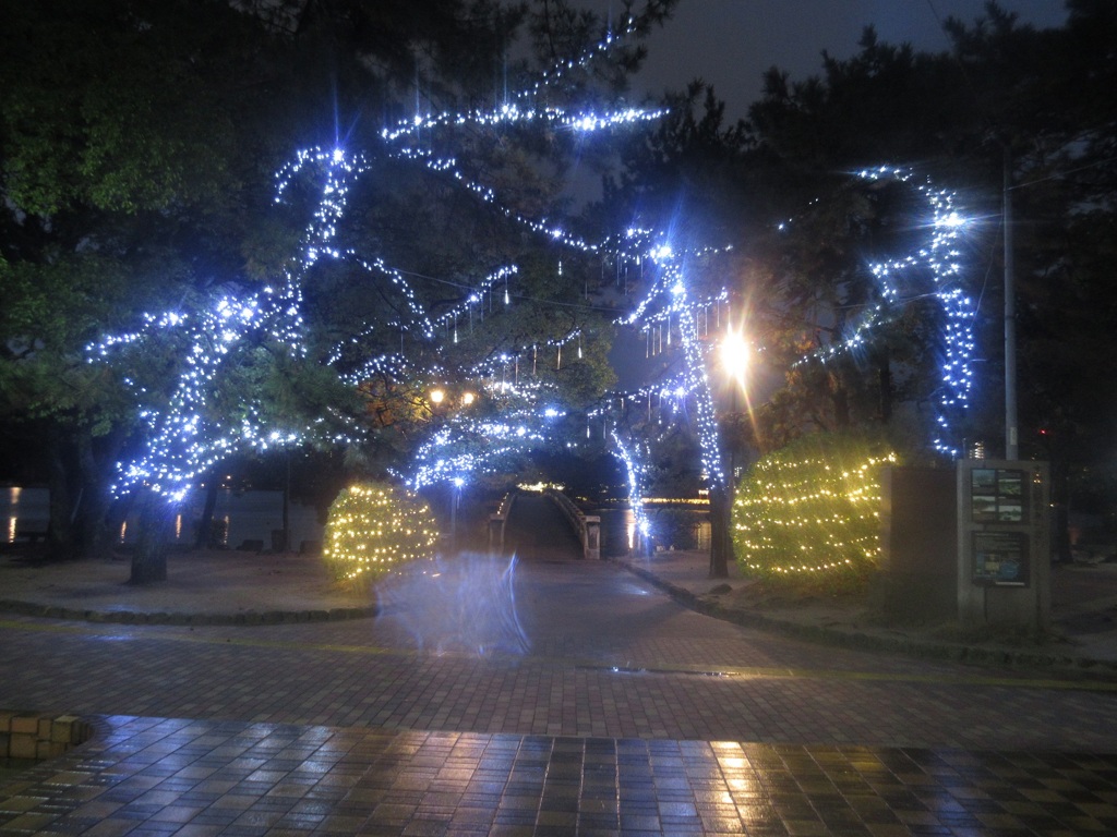 大濠公園のイルミネーション③