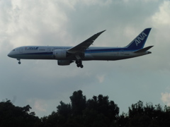 着陸ＡＮＡ　Ｂ７８７－９