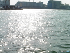 太陽が照りつける港