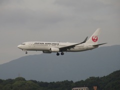 JAL B737-800着陸