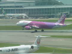 PEACH　JA816P　最新型飛来