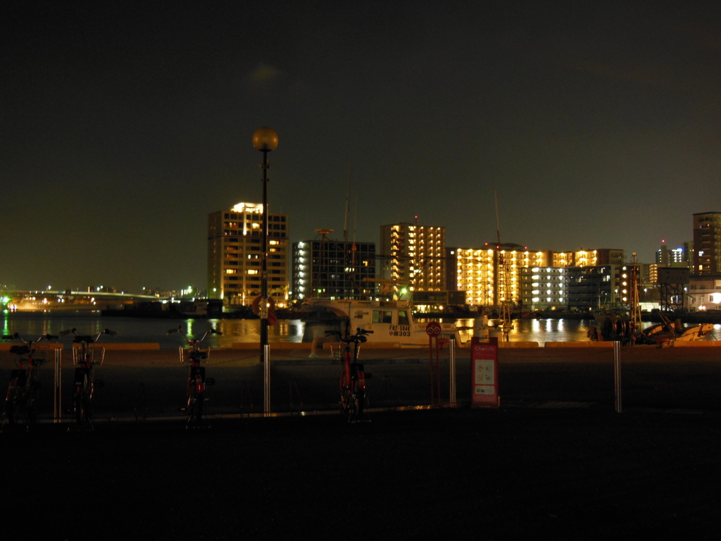 福岡市早良区百道浜の夜　①