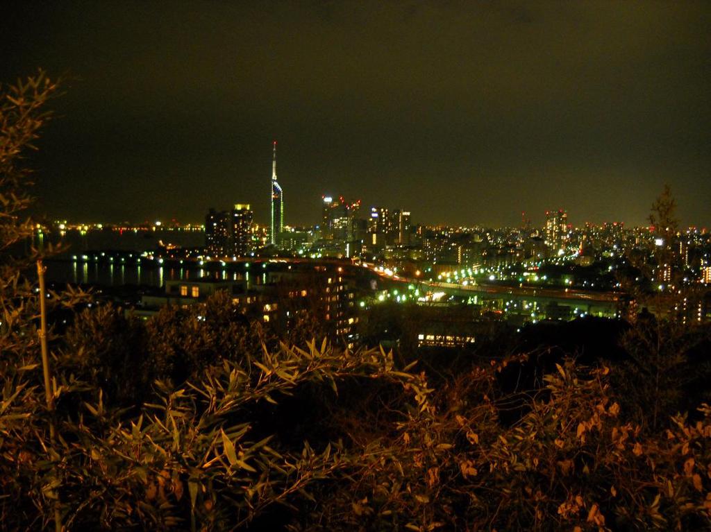 福岡市の夜景