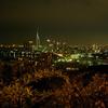 福岡市の夜景