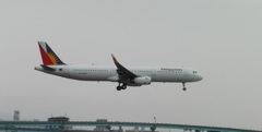 フィリピン航空　A321着陸