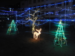 福岡郊外のクリスマスイルミネーション④