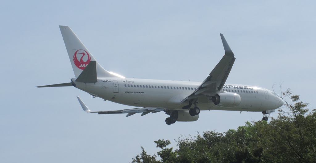 JAL　B737の着陸