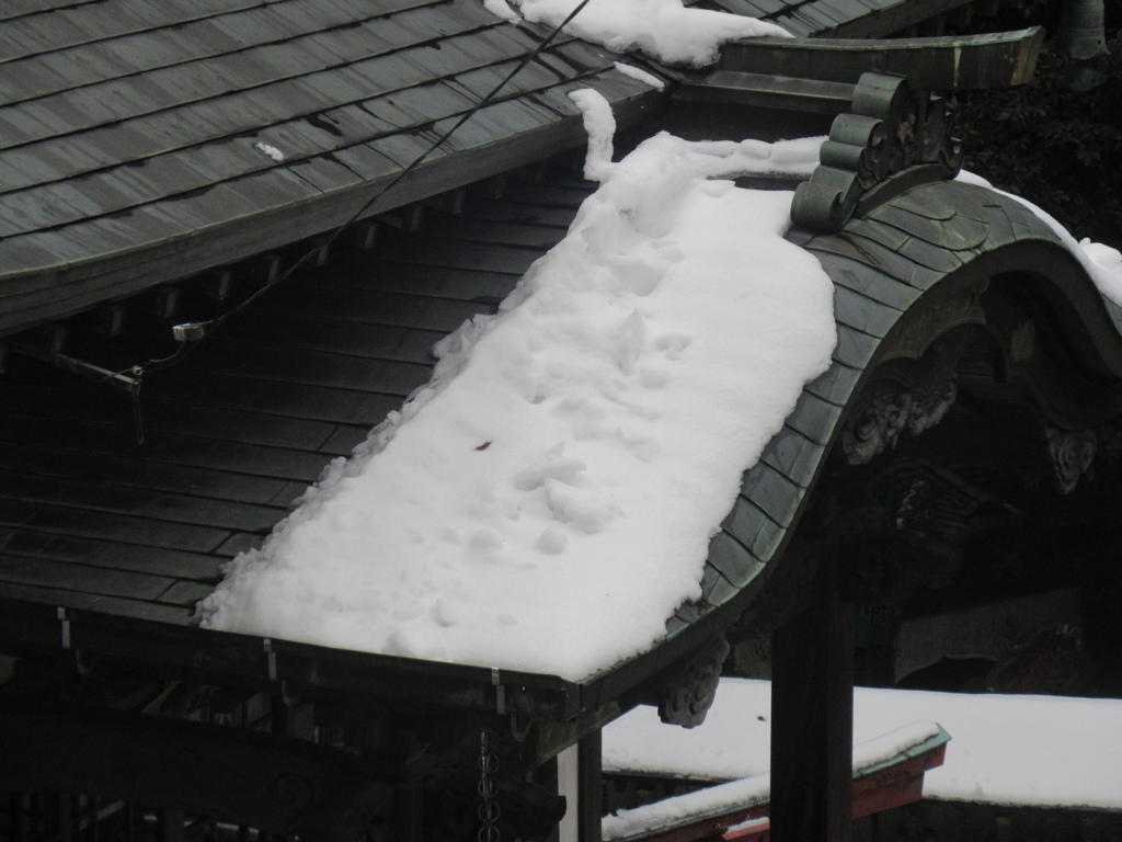 雪の積もった福岡県内④