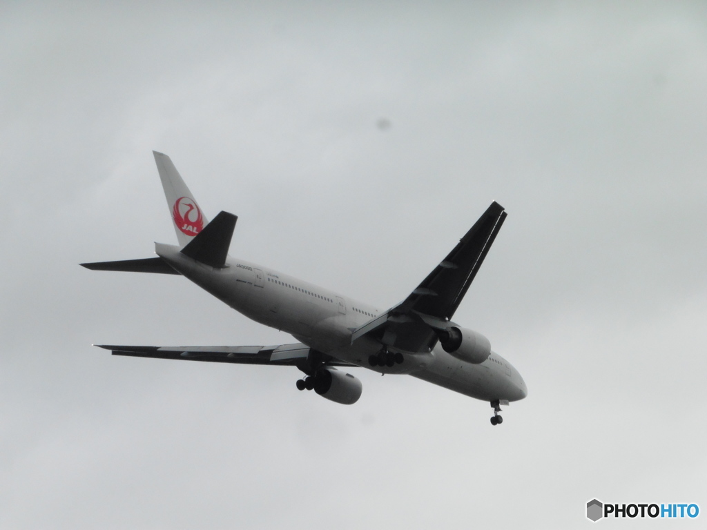 JAL  B777着陸