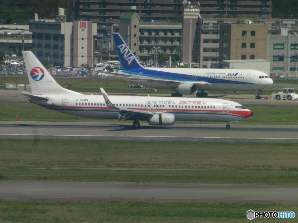 CHINA　EASTER　B737