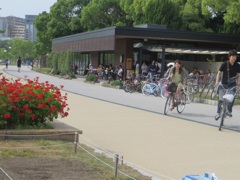 日曜の大濠公園⑥