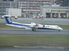 ANA  DHC-8-400　福岡空港にて