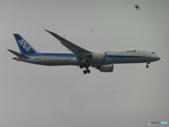 ANA B787-9着陸