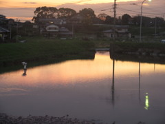 夕暮れの池のほとり