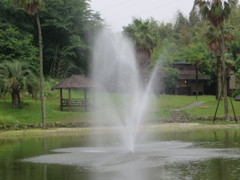 池から吹き出る噴水