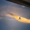 水槽の中の魚たち④