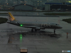 シルバーのFDA出発