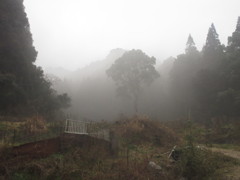 霧のかかった光景②