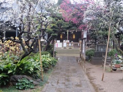 渋谷の鳩森神社①