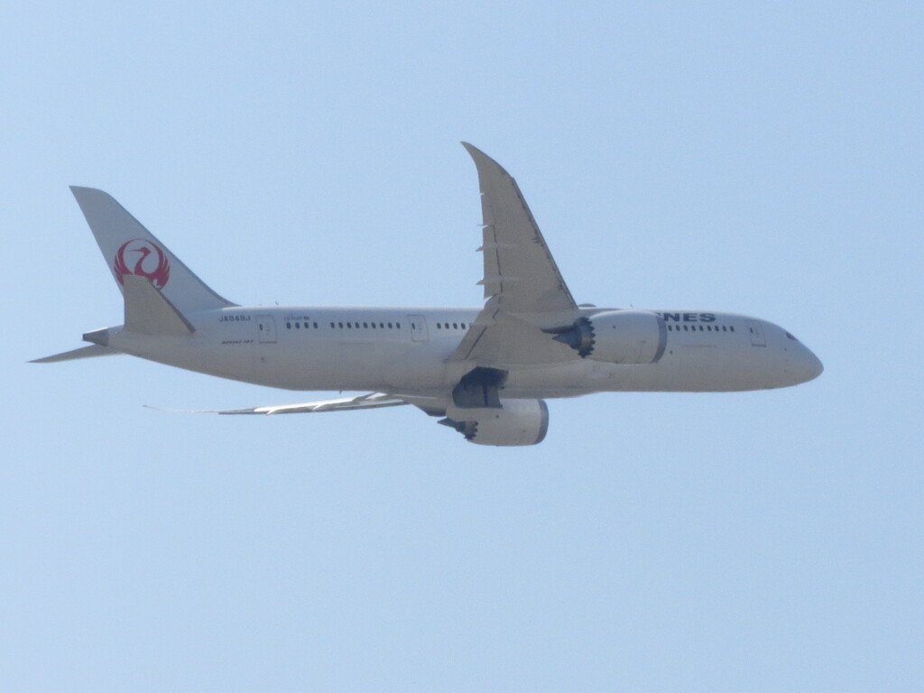 JAL  B787-8  福岡空港離陸