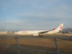 柵越しに香港ドラゴン航空　A330
