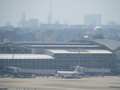 高台から眺める空港①