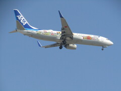 ANA  東北フラワージェットのランディング  JA85AN