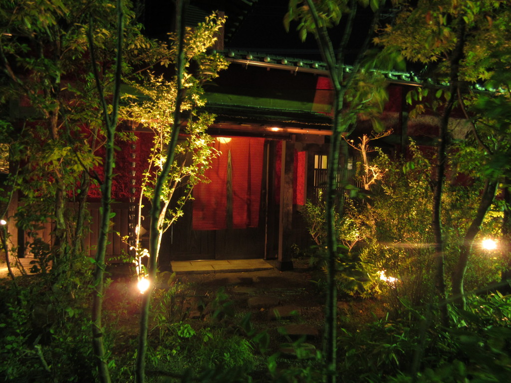 小さな草木に囲まれた店の入口