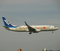 ANA  737-800  東北フラワージェット