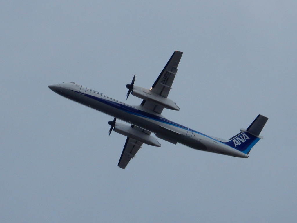 ANA　DHC8-Q400の離陸　福岡空港にて