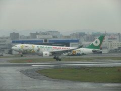 EVA AIR A320-200 ハローキティ到着