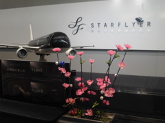 スターフライヤーカウンターでのピンクの花