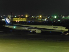 ANA  B777-300②