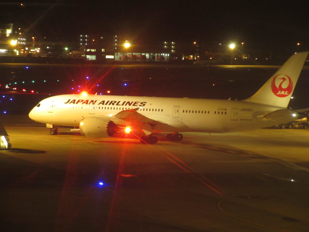 成田強風のため福岡へダイバートとなったJAL　B787①