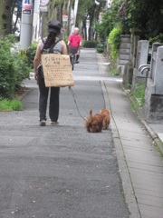 仔猫ボランティアの女性