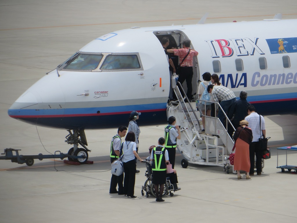 混雑するアイベックス