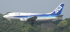 ANA　B737　ドルフィン着陸