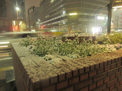 福岡市中央区天神の積雪の様子です④